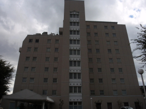 Hotel Crown Hills Okaya