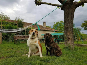 gîte en sud Ardèche