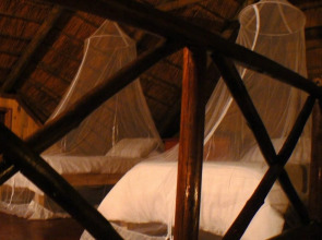 Lion Tree Bush Lodge