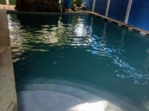 Dolphin House