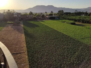 Lemon Tree Guest House and Swimming Pool