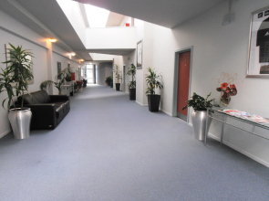 Best Western Wellington