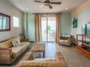 The Palms 504