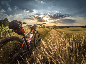 Urban Nest Garage, Sunroom & Fenced Yard