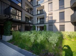 Maya's 17 - Nadmotławie