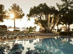 Robinson Camyuva - Adults only