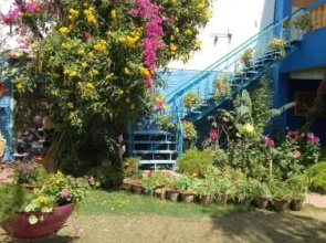 The Coral Tree Homestay