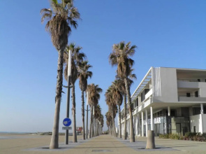 Appartement Sète, 1 pièce, 4 personnes - FR-1-338-324