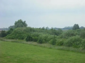 tHuis in Haren