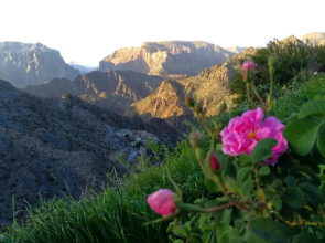 Roses House Oman