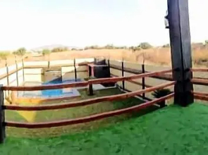 Black House