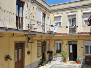 A Back Street Nest