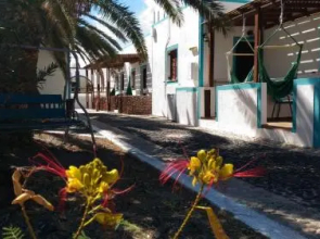 Palm Studios