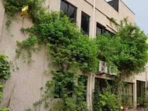 Real Homes - Kyoto Court