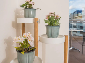 Convenient Rockdale Apartment Next To Station & Beach