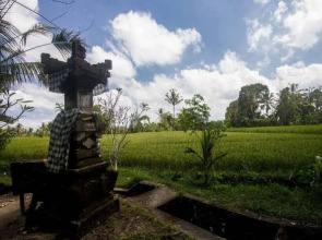 Step Ubud Hotel Mountain View