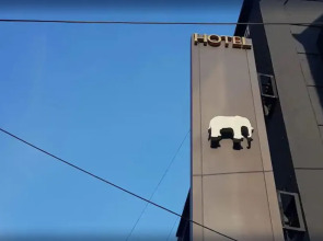 Hotel Elephant