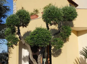 Villa Madia