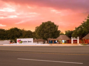 Colorbox Beds and Rooms