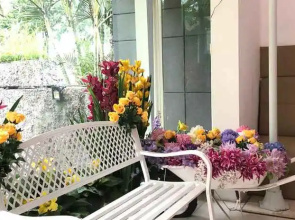 Guest House Studio Living
