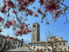 Appartamento La Baita Case Sondrio Fiume - Affitti Brevi Italia