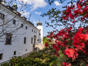 Chateau Třešť