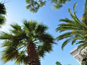Camping Villaggio Calypso