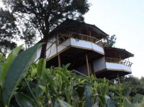 Vythirihills Nature Resort