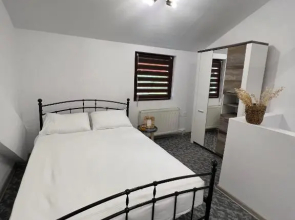 Apartament in regim hotelier Queen Medias