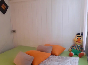 Cozy Small House on the Beach for pet Lovers
