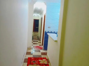 شقة مفروشة بخالد ابن الوليد ترى البحر ميامي