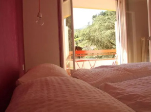 Cedrus Suite