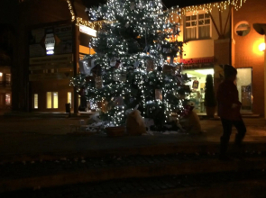 Főnix de Lux Apartman