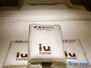IU Hotel