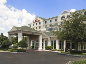 Hilton Garden Inn Tampa North Busch Gardens