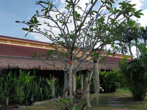 Kanchira Resort