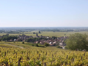 Ces Jours À Pommard