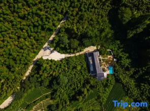 YoLo Qingdie Wu·Linya Yunshu B&B