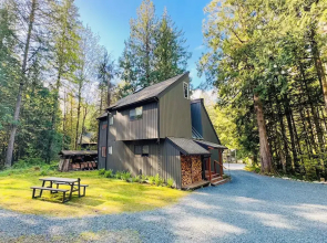 Forested 4 BR w/ Games, Fire Pit & Wood Stove