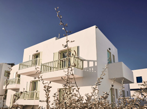 Noon Beyond Accommodation