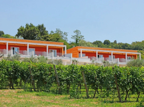Vignol II