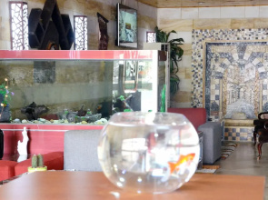 Mansi Hotel Suite