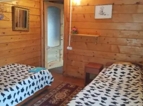 Olga's Home