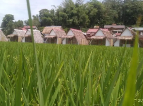 Bamboo Shack