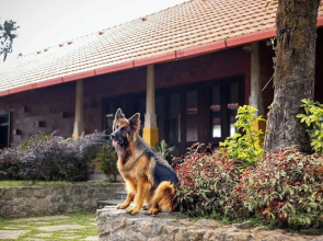 Amã Stays & Trails Alpenhof , Coorg