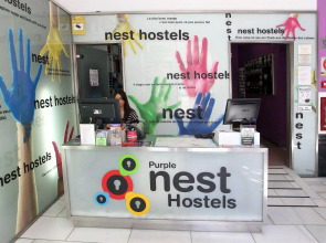 Purple Nest Hostel