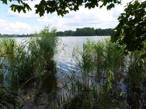 Ferienhaus Natura