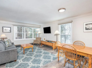 Mountainside Inn 313 1 Bedroom Condo by Alpine Lodging Telluride