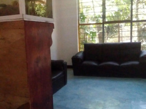 La Casa Del Nenufar - Hostel