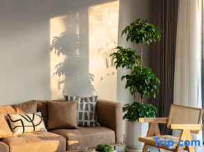 Floral Hotel·Jinyun Lumingxuan Hotel (Xiandu Scenic Area)